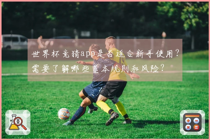 世界杯竞猜app是否适合新手使用？需要了解哪些基本规则和风险？