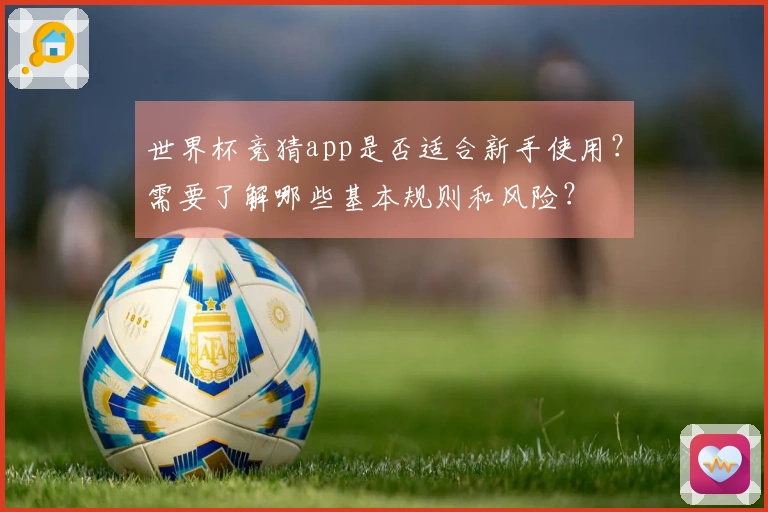 世界杯竞猜app是否适合新手使用？需要了解哪些基本规则和风险？